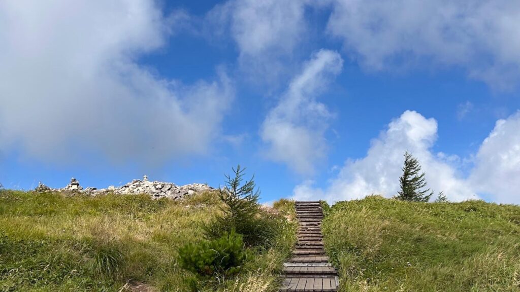 【上田市】残暑からの逃避行 雲の上までドライブ＆秋の高原散歩