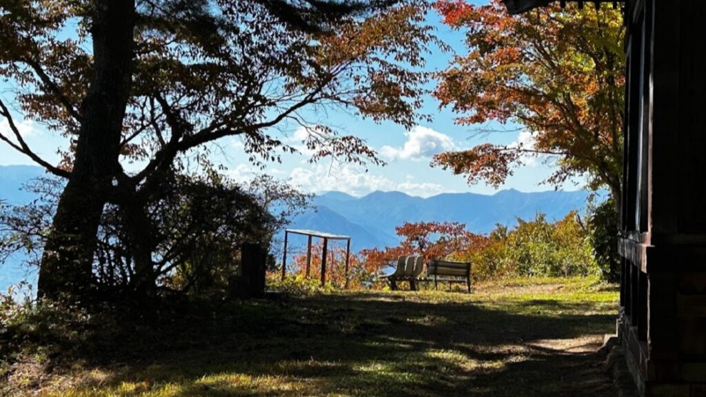 【上田市】カラマツの黄紅葉がピークを迎えた太郎山　山頂まで1時間のコースを紹介
