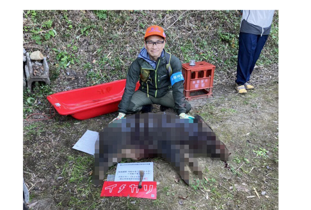 仕留めたイノシシ