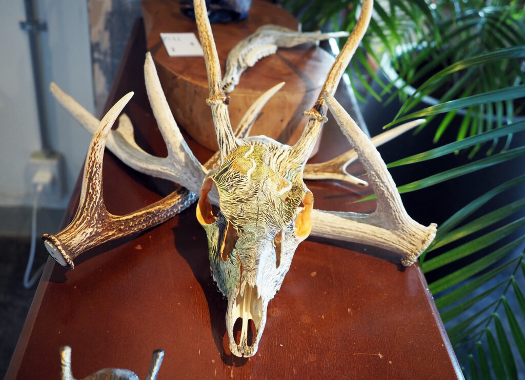 鹿の頭骨に鹿の目線で見える里山を描いたmatagot.さんの作品