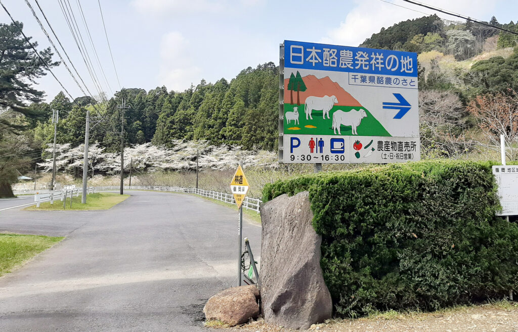 看板の向こう側に桜並木が見える