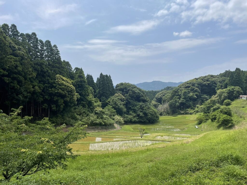 釜沼集落の棚田　写真提供：林良樹