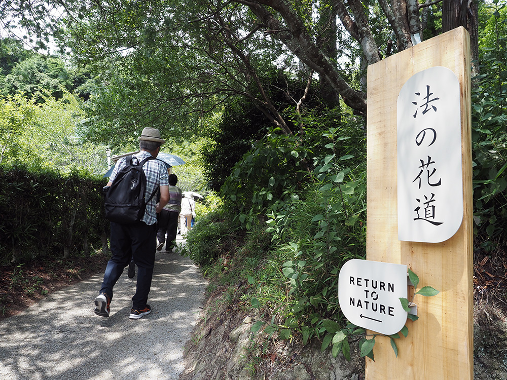 森の入り口
