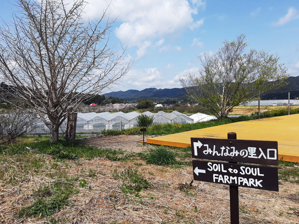 ぜひ建物の裏側へ回ってみてほしい