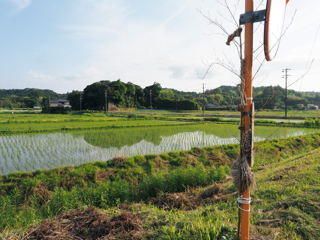 田
園風景に馴染む安馬谷地区の道きり