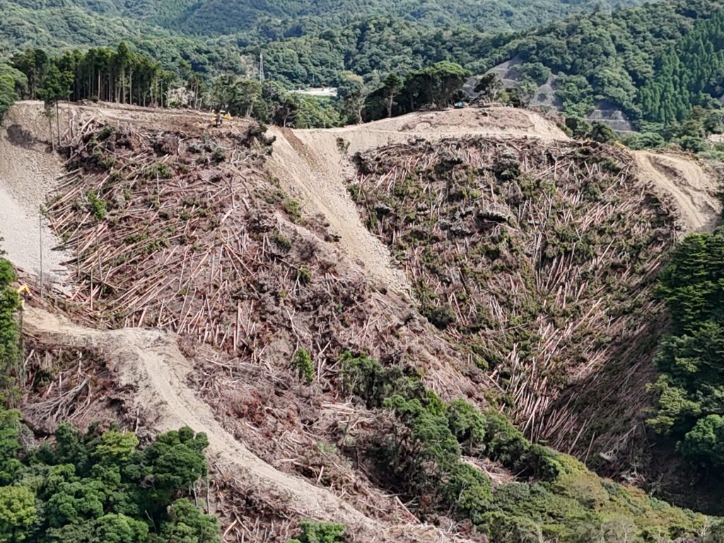 2025年9月に撮影されたメガソーラー開発現場　※地権者の許可を得て撮影してます　写真提供：鴨川の山と川と海を守る会
