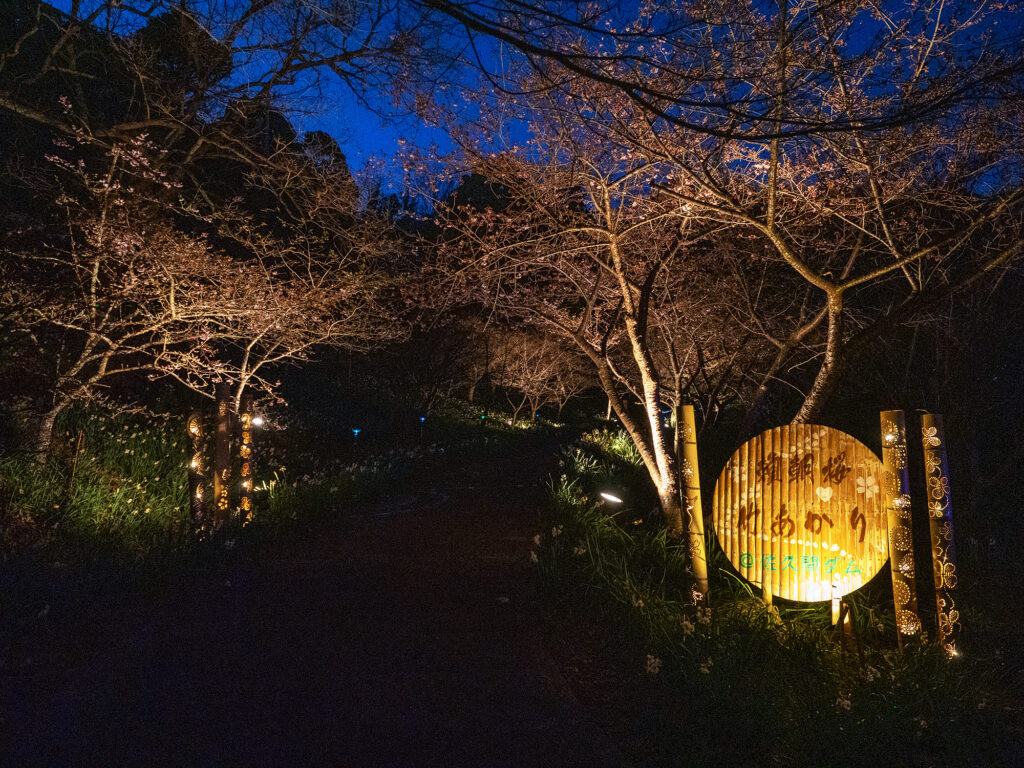 2月20日に撮影