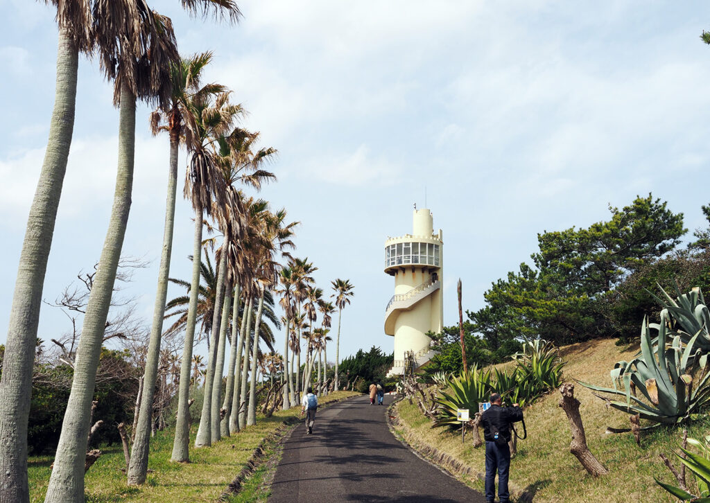 アロハタワーへ向かう道