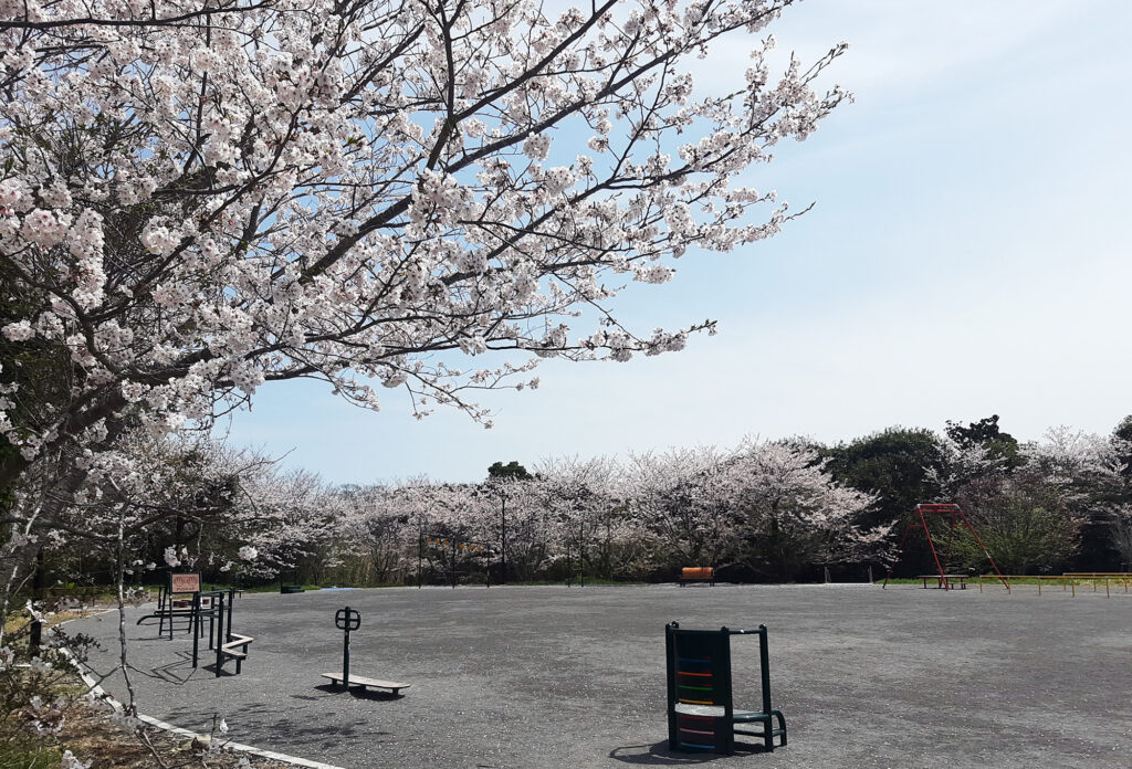 なみはらくじらパーク内にある桜に囲まれた場所