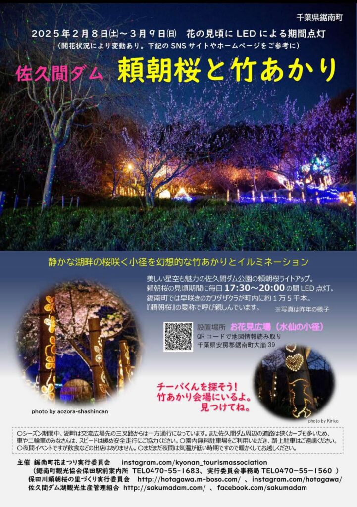 頼朝桜と竹あかり