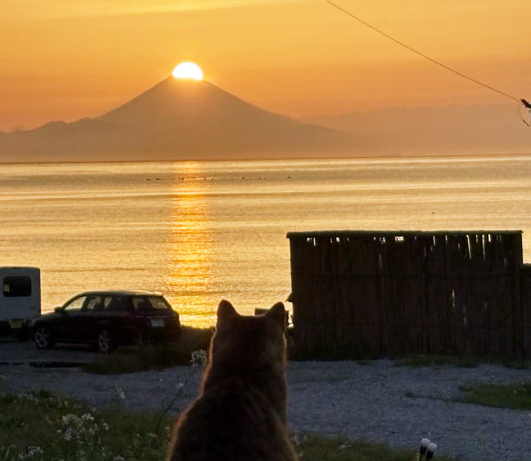 ブエナビスタビーチクラブからの夕日　写真提供：フィエスタデルマール