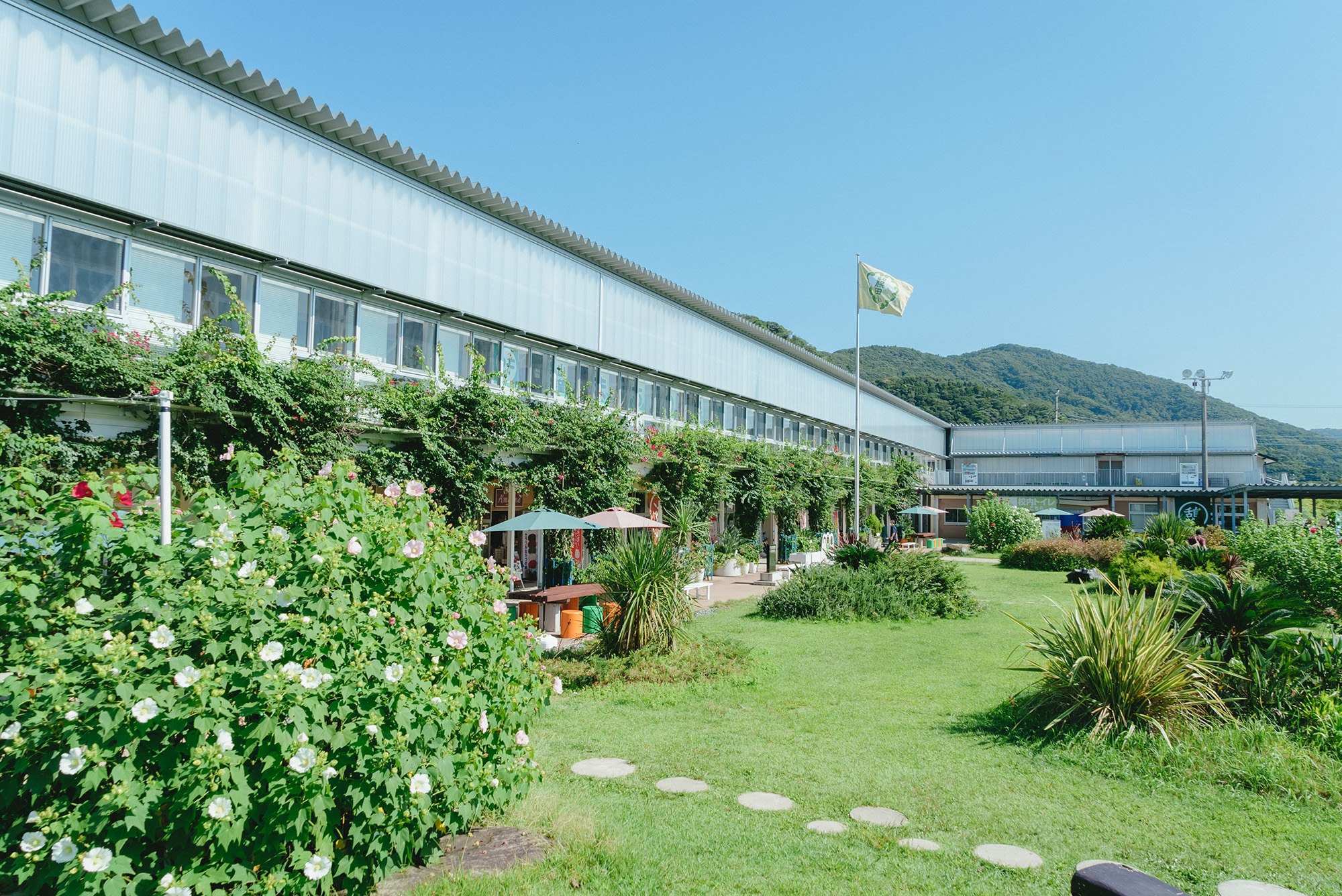 都市交流施設・道の駅 保田小学校の外観　写真提供：道の駅保田小学校