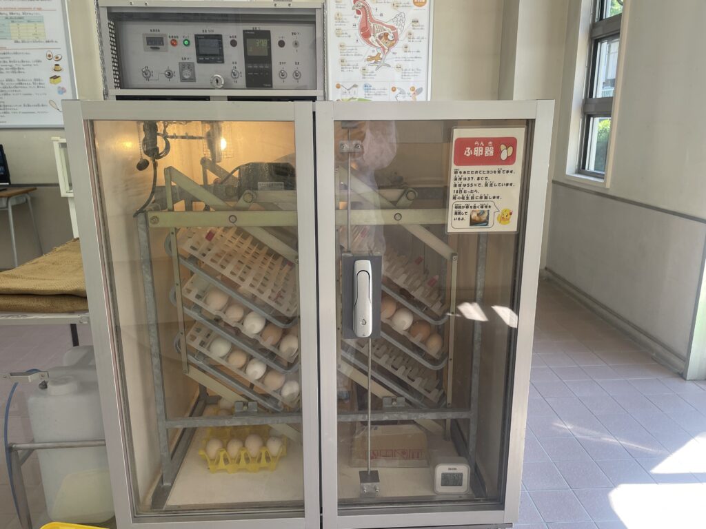 孵卵器