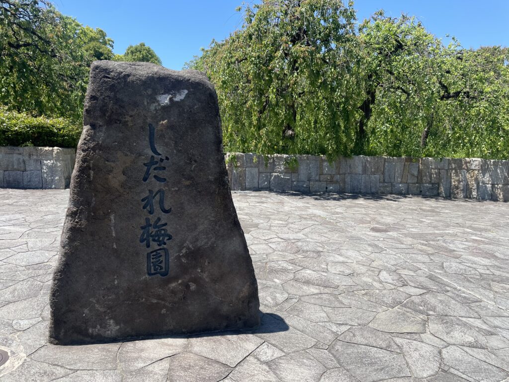 しだれ梅園